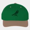 Low-profile heavy brushed cotton cap Thumbnail